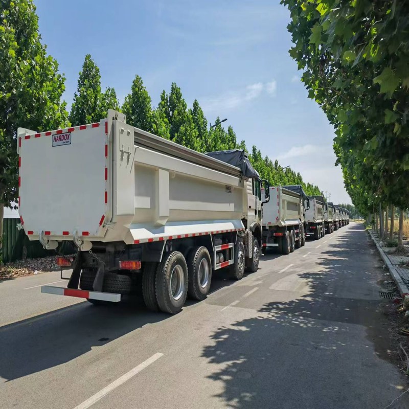 Camión de basura usado Howo TX Sinotruk Howo 8x4 con volante de 12 ruedas Diesel manual