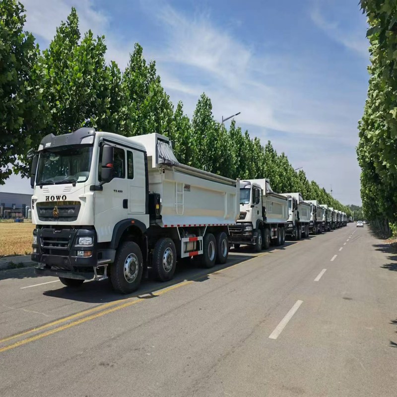Camión de basura usado Howo TX Sinotruk Howo 8x4 con volante de 12 ruedas Diesel manual