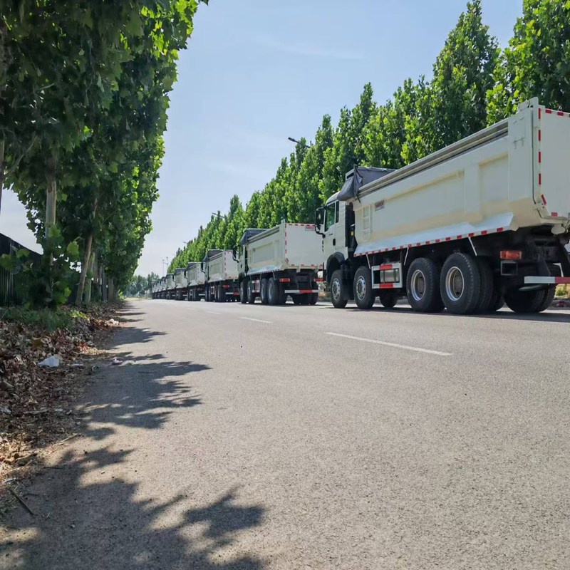 Camión de basura usado Howo TX Sinotruk Howo 8x4 con volante de 12 ruedas Diesel manual